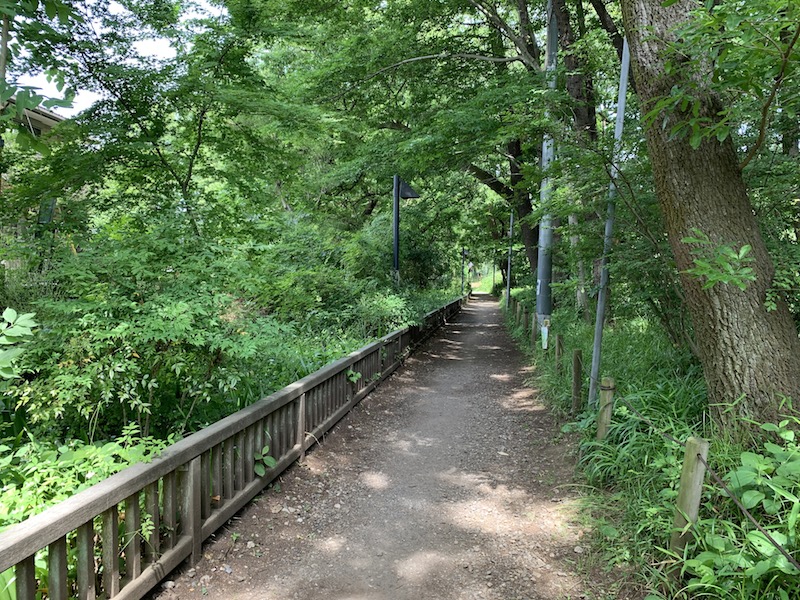 武蔵野の面影を残す自然あふれる 清瀬せせらぎ公園 あきつだョ 全員集合